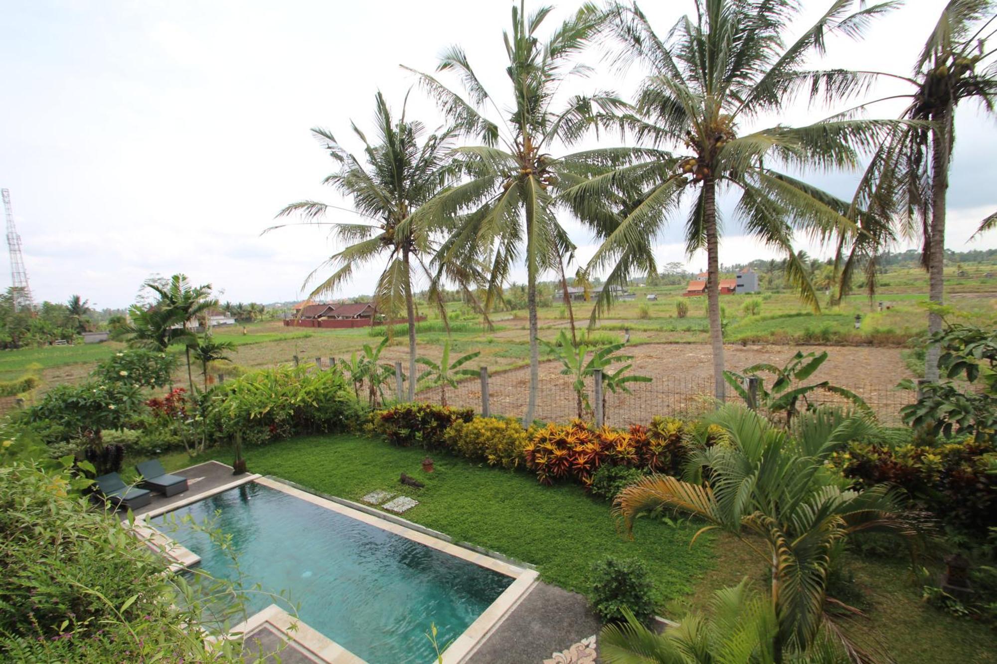 Uma Capung Mas Cottage Ubud Dış mekan fotoğraf