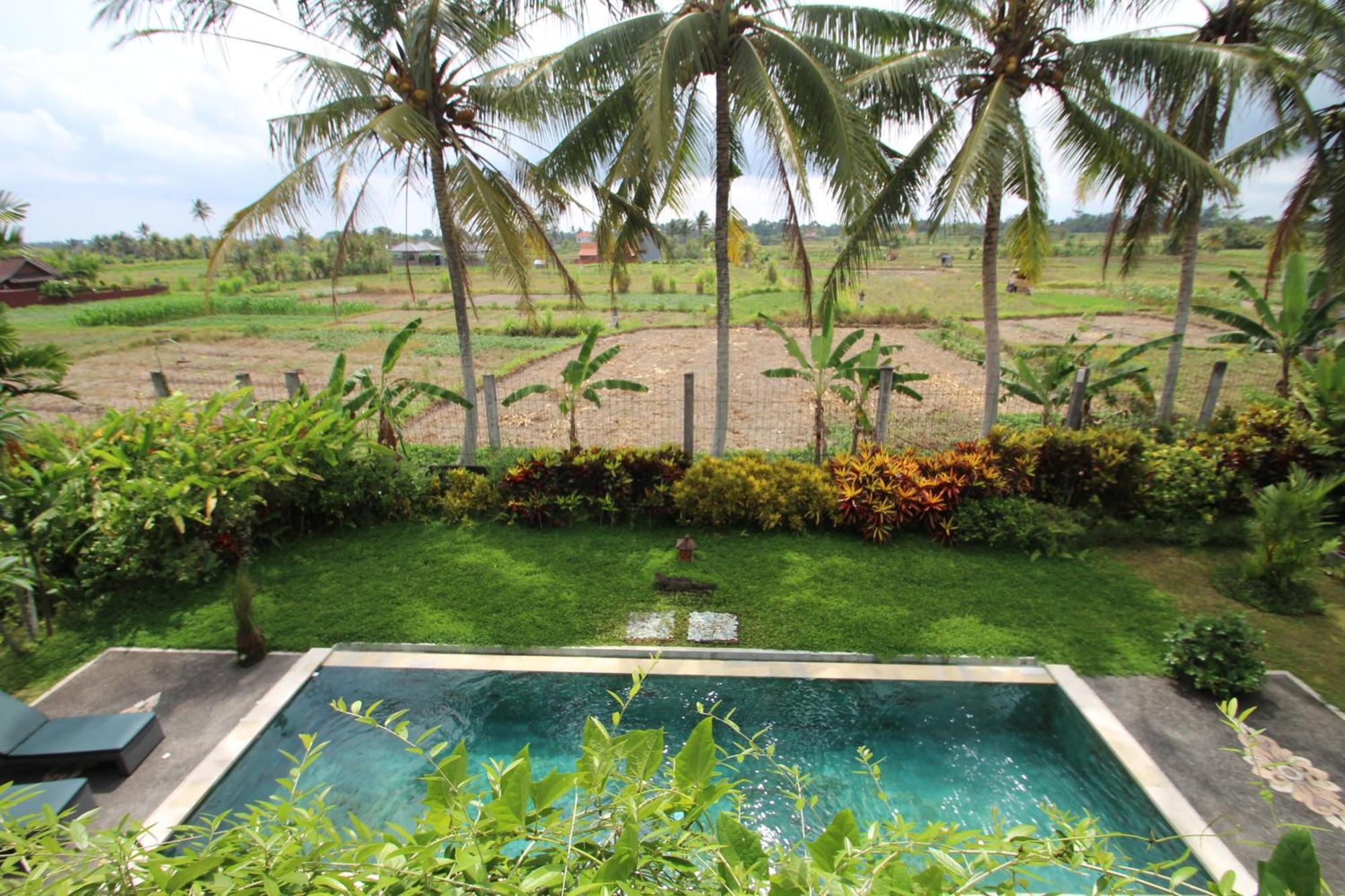 Uma Capung Mas Cottage Ubud Dış mekan fotoğraf