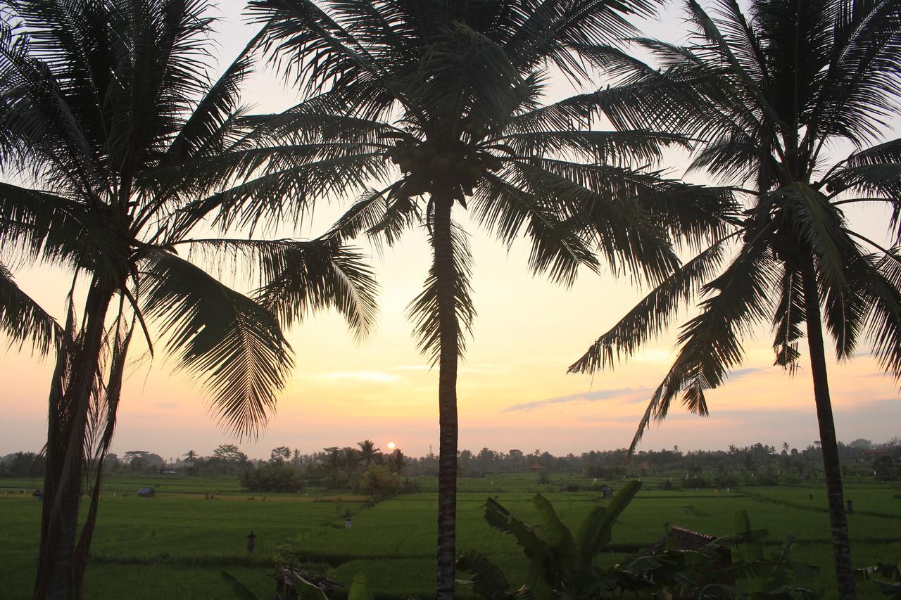 Uma Capung Mas Cottage Ubud Dış mekan fotoğraf