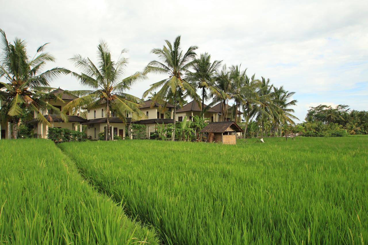 Uma Capung Mas Cottage Ubud Dış mekan fotoğraf